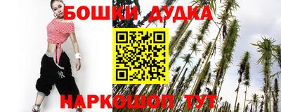 амф Новодвинск