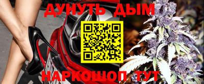 амф Новодвинск