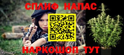 амф Новодвинск